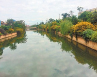 河道污水处理